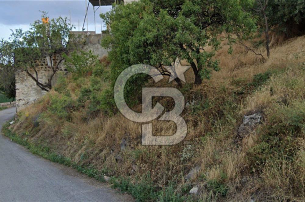 HACILARIN MERKEZİNDE SON KALAN ARSA VE BAGI TAM MEYDANDA SÜPER