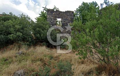 HACILARIN MERKEZİNDE SON KALAN ARSA VE BAGI TAM MEYDANDA SÜPER