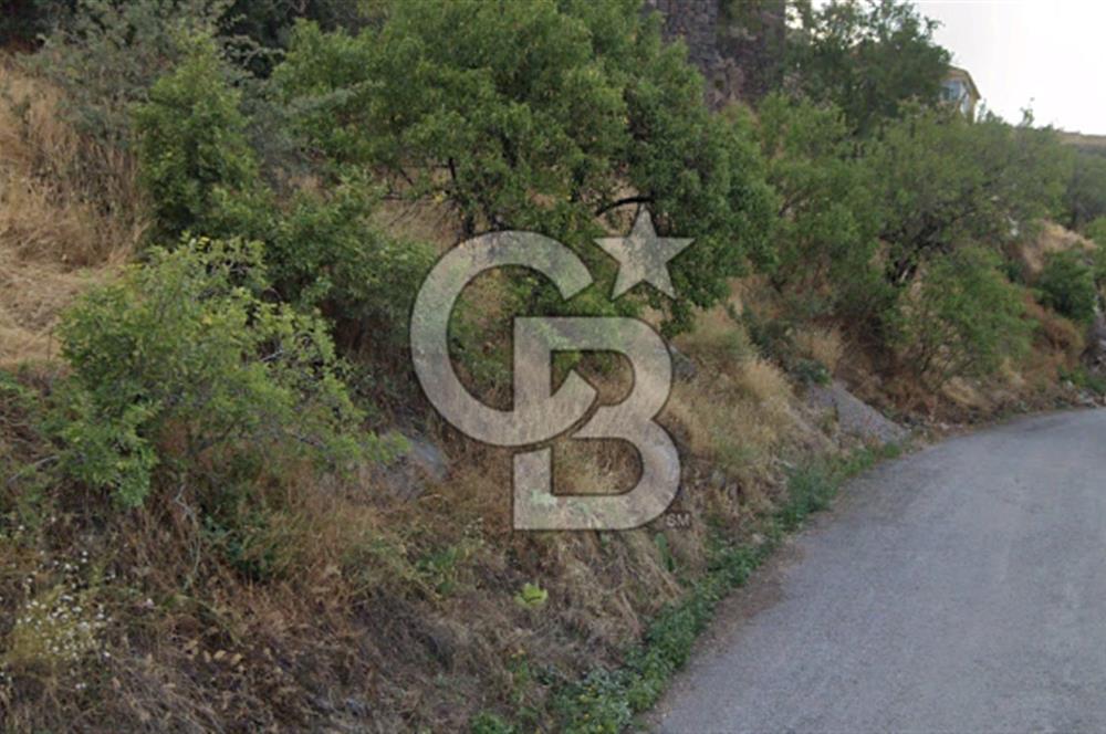 HACILARIN MERKEZİNDE SON KALAN ARSA VE BAGI TAM MEYDANDA SÜPER