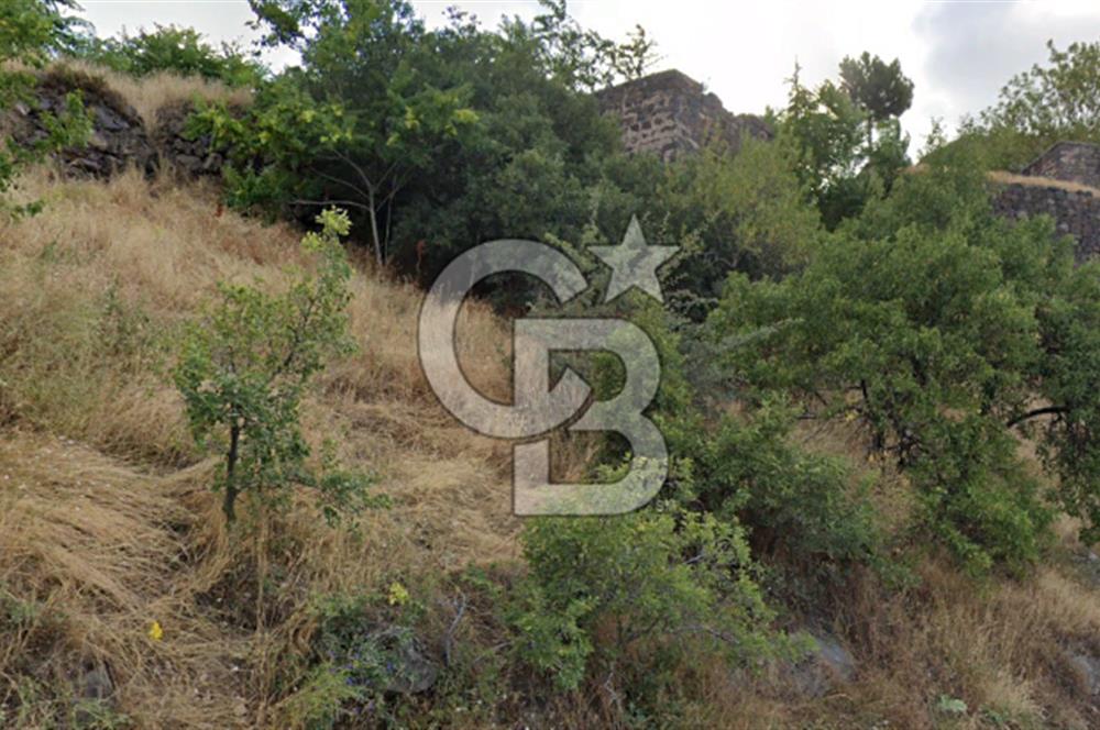 HACILARIN MERKEZİNDE SON KALAN ARSA VE BAGI TAM MEYDANDA SÜPER
