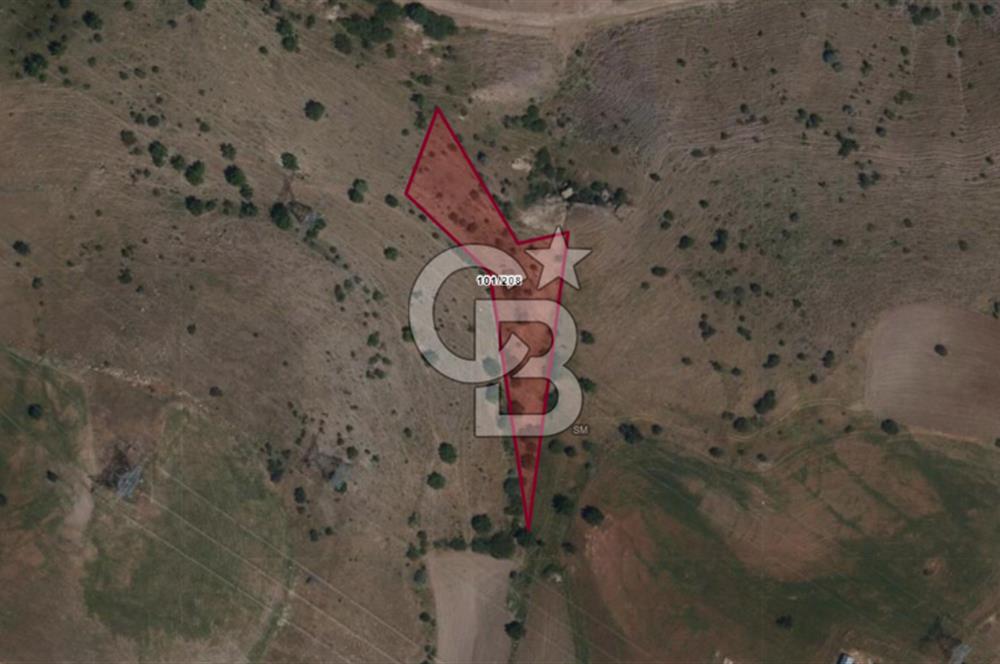 1266583901 Çankaya Tohumlar Boğazbaşı Mevki 317m2 Satılık Tarla 