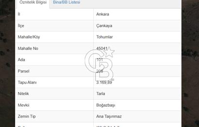 1266583901 Çankaya Tohumlar Boğazbaşı Mevki 317m2 Satılık Tarla 