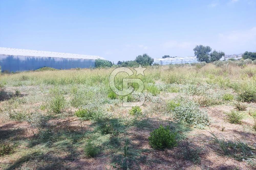 MANAVGAT SEYDİLER MAH 8355 M2 TEK TAPU TARLA
