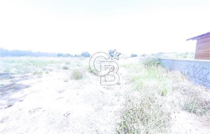 MANAVGAT SEYDİLER MAH 8355 M2 TEK TAPU TARLA