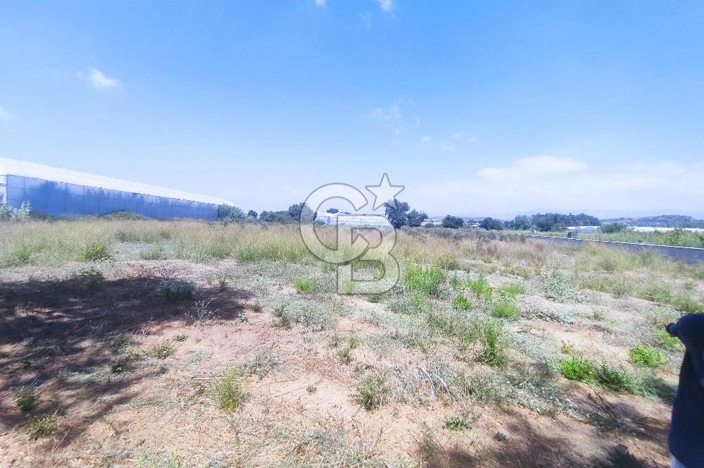MANAVGAT SEYDİLER MAH 8355 M2 TEK TAPU TARLA