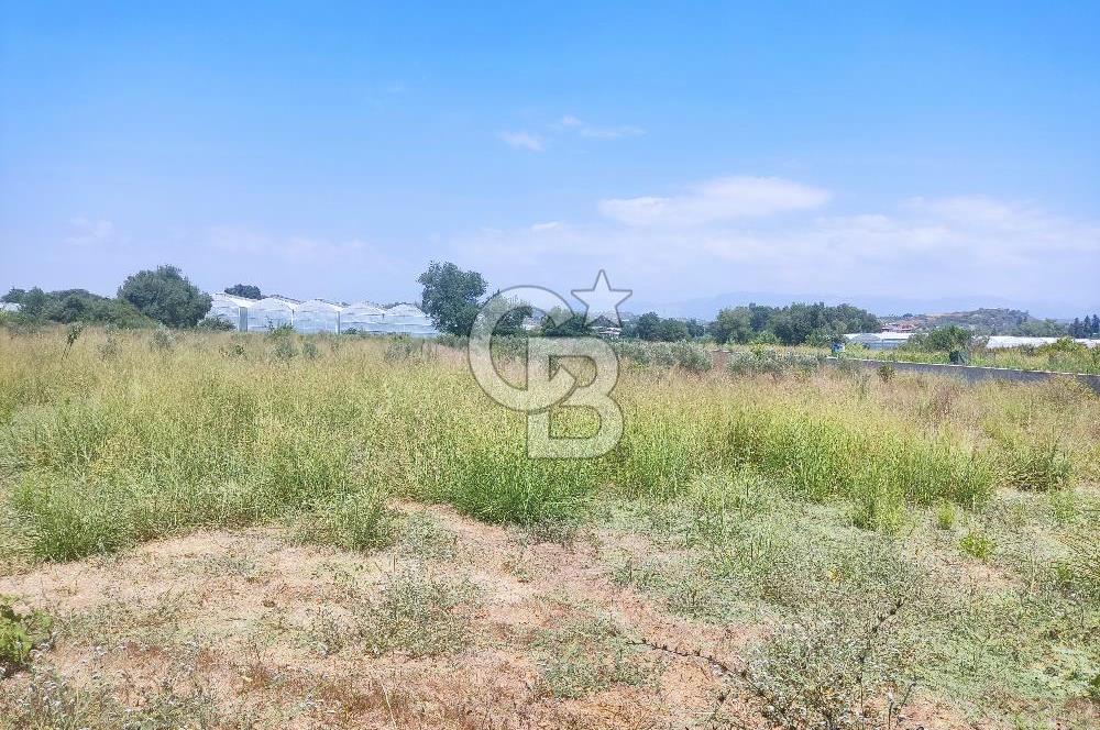 MANAVGAT SEYDİLER MAH 8355 M2 TEK TAPU TARLA