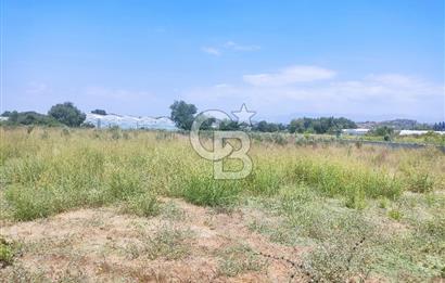 MANAVGAT SEYDİLER MAH 8355 M2 TEK TAPU TARLA
