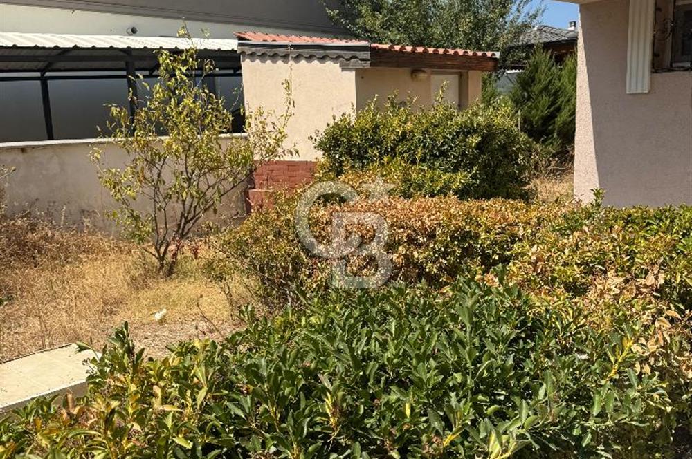 Güzelbahçe Çamlı'da Yeni Dört Mevsim Sitesinde Kiralık Villa