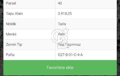 Dikmen'de satılık 3918m2 tarla