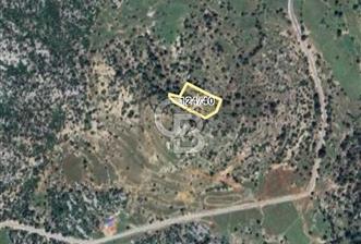Dikmen'de satılık 3918m2 tarla