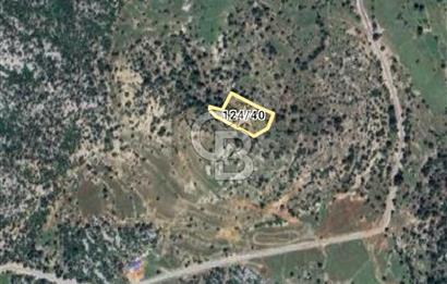 Dikmen'de satılık 3918m2 tarla