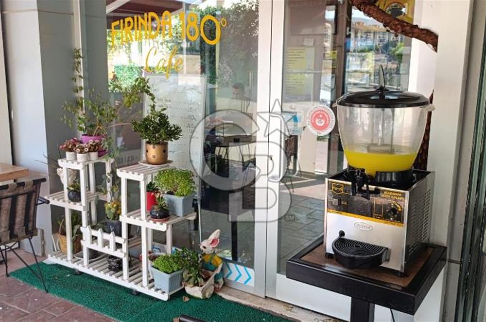 Yüksek Cirolu Derince Yenikent'te Devren Kiralık Cafe