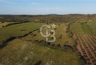 ÇANAKKALE EZİNE KESTANBOL KAPLICASI YAKININDA TARLA