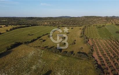 ÇANAKKALE EZİNE KESTANBOL KAPLICASI YAKININDA TARLA