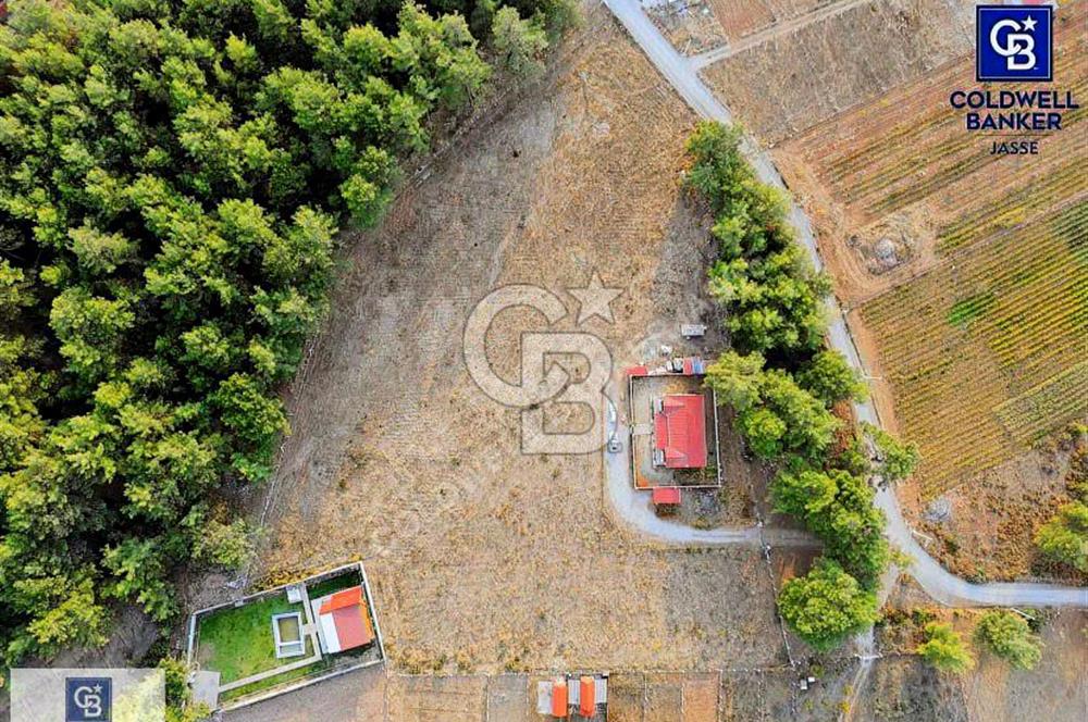 BUCA BELENBAŞI 12500 METREKARE MÜSTAKİL PARSEL