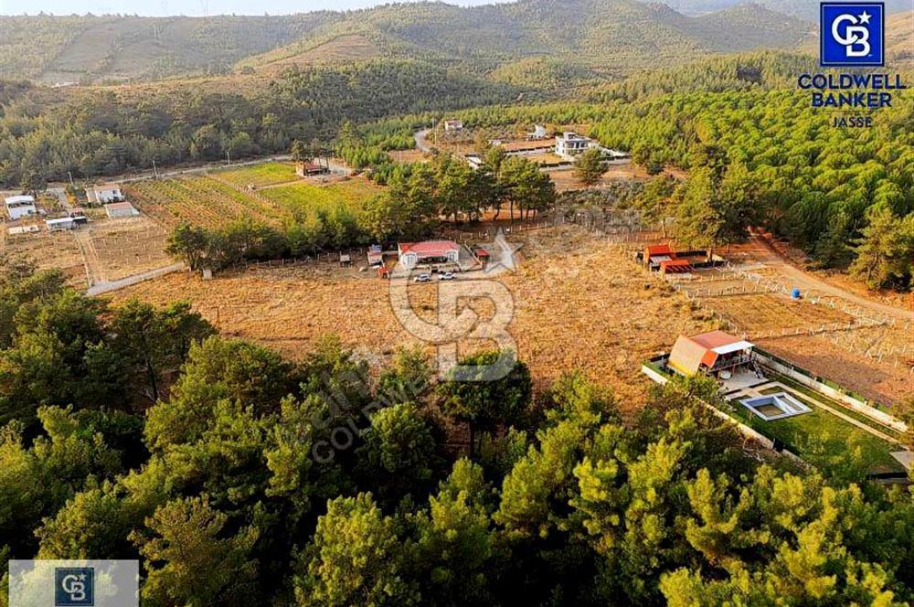 BUCA BELENBAŞI 12500 METREKARE MÜSTAKİL PARSEL