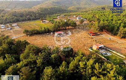 BUCA BELENBAŞI 12500 METREKARE MÜSTAKİL PARSEL