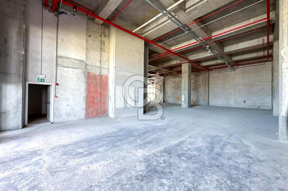 ARNAVUTKÖY DELİKLİKAYA ASKOOP KİRALIK FABRİKA KATLARI