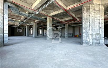 ARNAVUTKÖY DELİKLİKAYA ASKOOP KİRALIK FABRİKA KATLARI