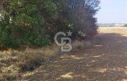 LÜLEBURGAZ CEYLANKÖYDE SATILIK TARLA
