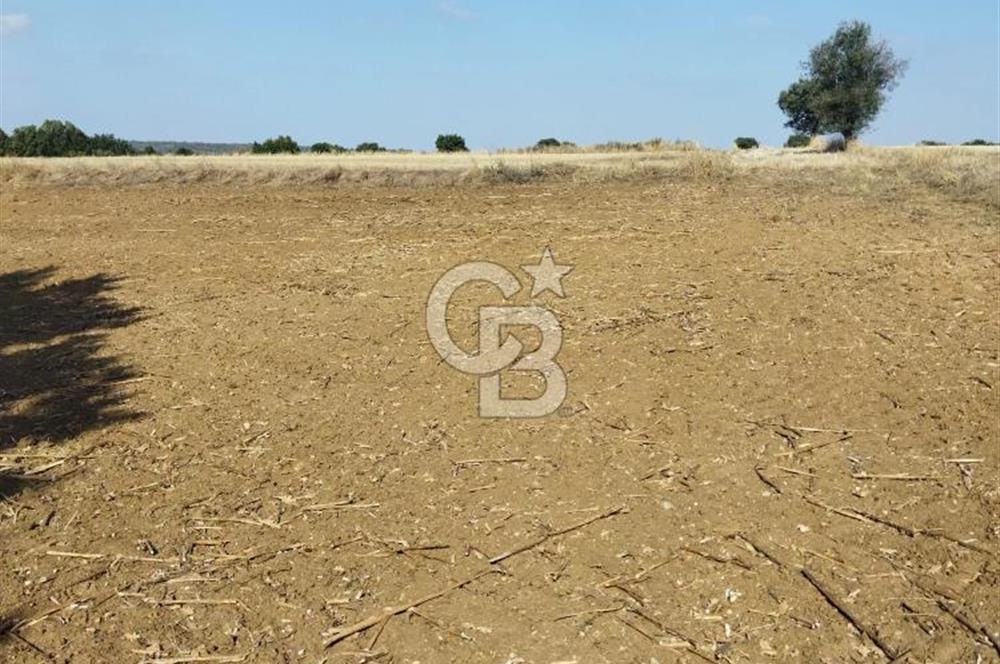 LÜLEBURGAZ CEYLANKÖYDE SATILIK TARLA
