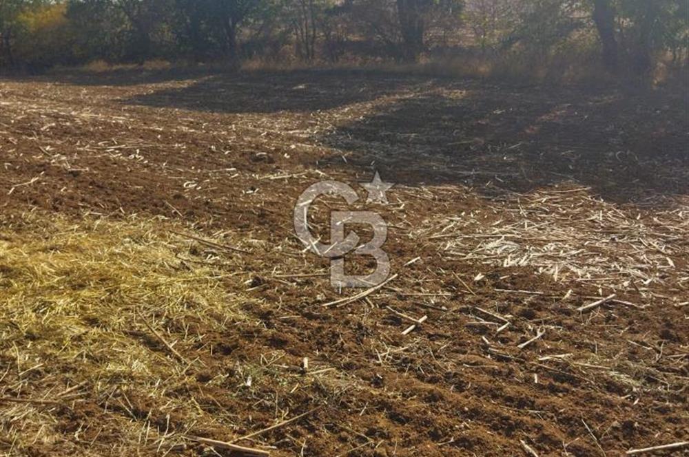 LÜLEBURGAZ CEYLANKÖYDE SATILIK TARLA
