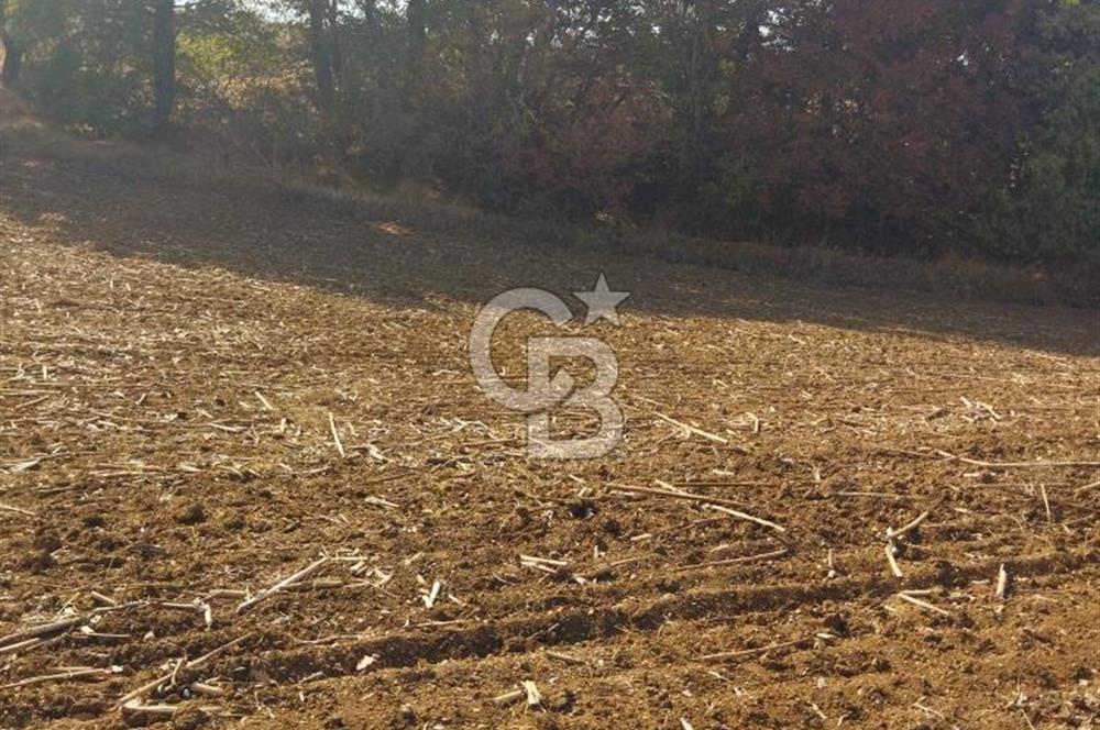 LÜLEBURGAZ CEYLANKÖYDE SATILIK TARLA