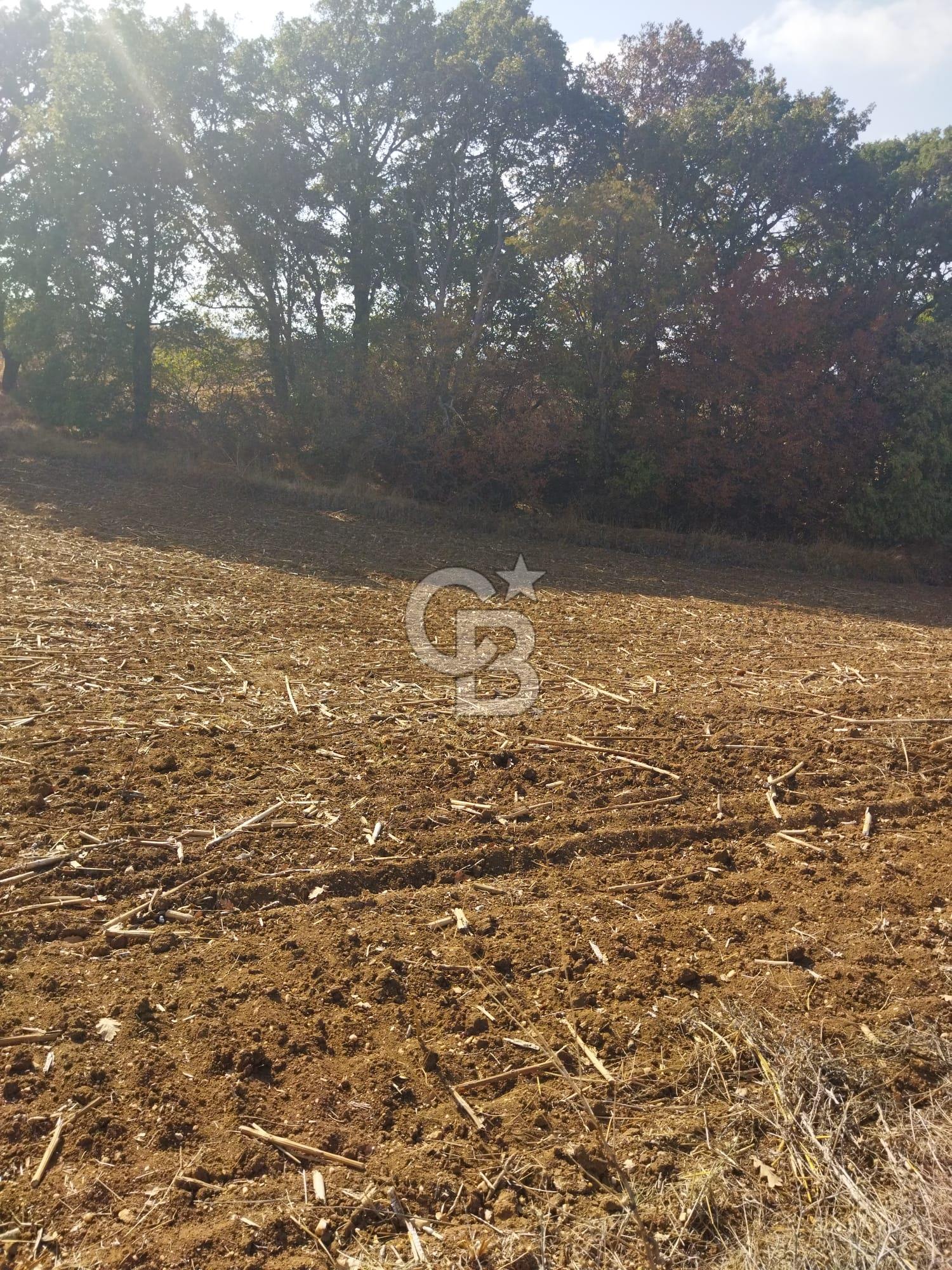 LÜLEBURGAZ CEYLANKÖYDE SATILIK TARLA