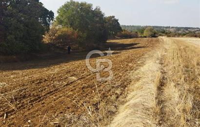 LÜLEBURGAZ CEYLANKÖYDE SATILIK TARLA