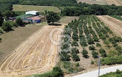 Beşevlerde Değer Kazanan Bölgede Yatırımlık Tarla! Favorilerime Ekle Yazdır Facebook ile paylaş