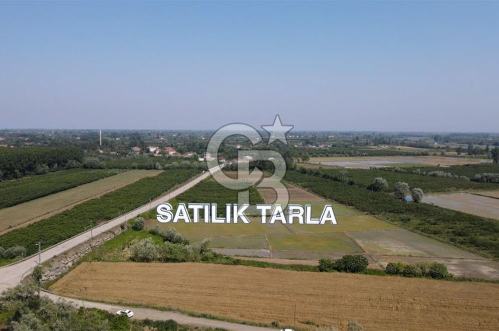 ÇARŞAMBA, KUMTEPE MAHALLESİ, KÖPRÜBAŞINDA 18,2 DÖNÜM TARLA