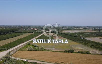 ÇARŞAMBA, KUMTEPE MAHALLESİ, KÖPRÜBAŞINDA 18,2 DÖNÜM TARLA