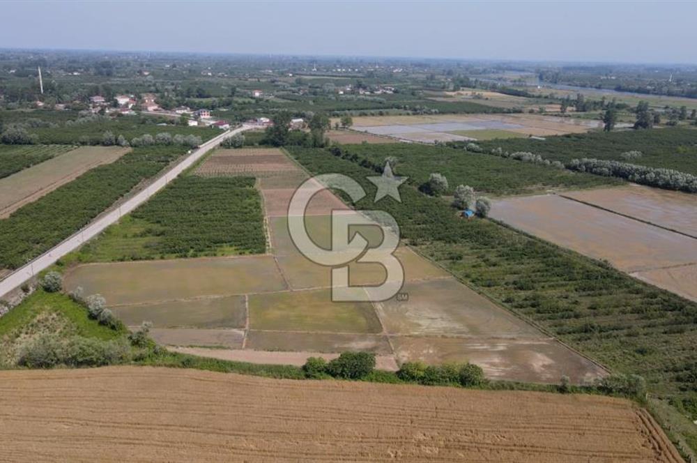 ÇARŞAMBA, KUMTEPE MAHALLESİ, KÖPRÜBAŞINDA 18,2 DÖNÜM TARLA