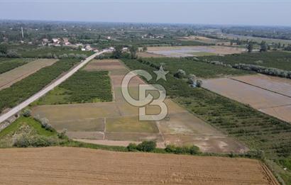 ÇARŞAMBA, KUMTEPE MAHALLESİ, KÖPRÜBAŞINDA 18,2 DÖNÜM TARLA