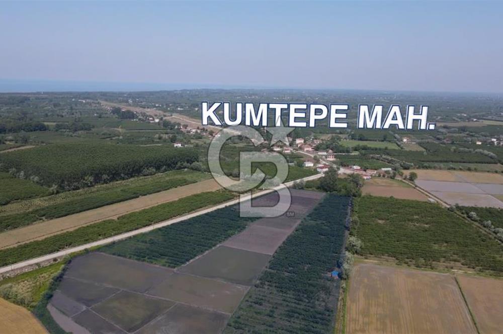 ÇARŞAMBA, KUMTEPE MAHALLESİ, KÖPRÜBAŞINDA 18,2 DÖNÜM TARLA