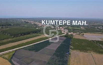 ÇARŞAMBA, KUMTEPE MAHALLESİ, KÖPRÜBAŞINDA 18,2 DÖNÜM TARLA
