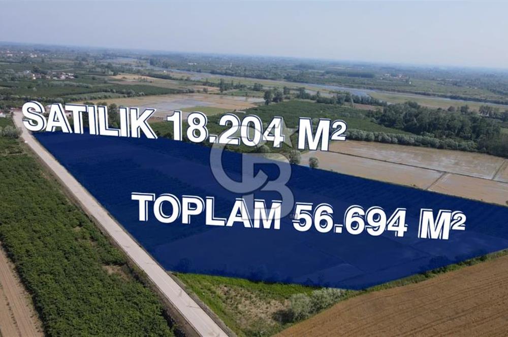 ÇARŞAMBA, KUMTEPE MAHALLESİ, KÖPRÜBAŞINDA 18,2 DÖNÜM TARLA