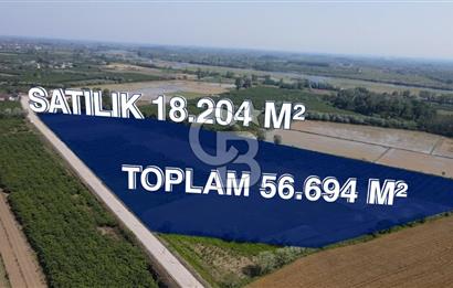 ÇARŞAMBA, KUMTEPE MAHALLESİ, KÖPRÜBAŞINDA 18,2 DÖNÜM TARLA