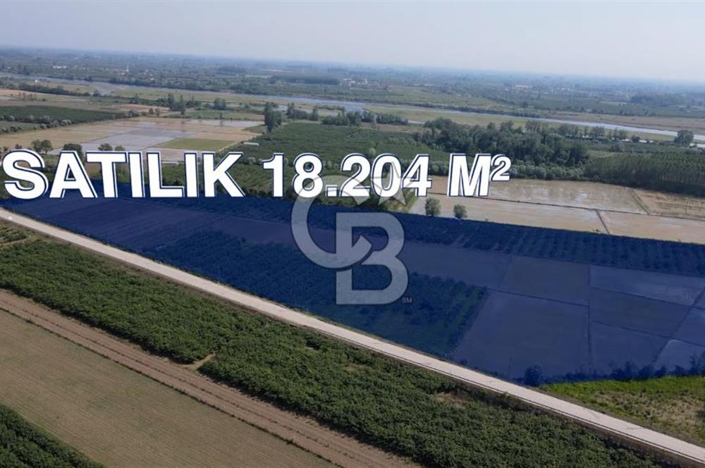 ÇARŞAMBA, KUMTEPE MAHALLESİ, KÖPRÜBAŞINDA 18,2 DÖNÜM TARLA