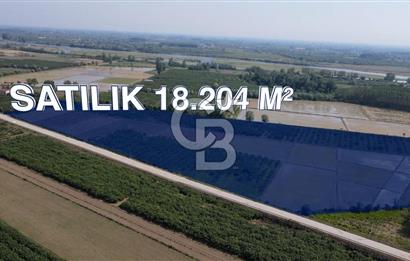 ÇARŞAMBA, KUMTEPE MAHALLESİ, KÖPRÜBAŞINDA 18,2 DÖNÜM TARLA