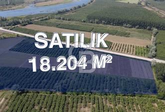 ÇARŞAMBA, KUMTEPE MAHALLESİ, KÖPRÜBAŞINDA 18,2 DÖNÜM TARLA