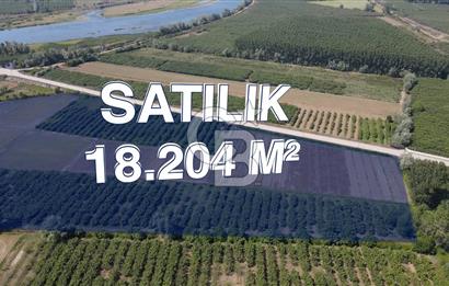 ÇARŞAMBA, KUMTEPE MAHALLESİ, KÖPRÜBAŞINDA 18,2 DÖNÜM TARLA