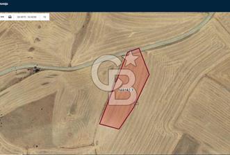 ACİL Gölbaşı Boyalık Akpınar’da Tek Tapu 7.309 m2 Tarla