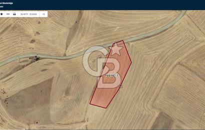 ACİL Gölbaşı Boyalık Akpınar’da Tek Tapu 7.309 m2 Tarla