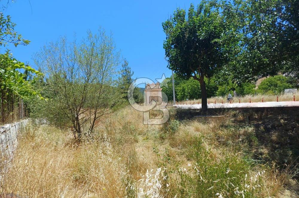 1254635358 BUCAK ALAATTİN MAH. MEYVE AĞAÇLI ÇİFTLİK ARAZİSİ 