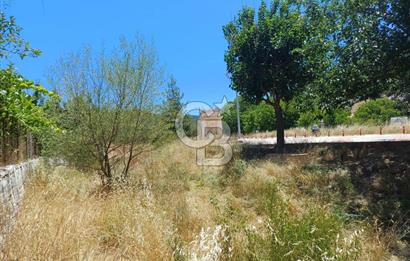 1254635358 BUCAK ALAATTİN MAH. MEYVE AĞAÇLI ÇİFTLİK ARAZİSİ 