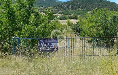 1254635358 BUCAK ALAATTİN MAH. MEYVE AĞAÇLI ÇİFTLİK ARAZİSİ 