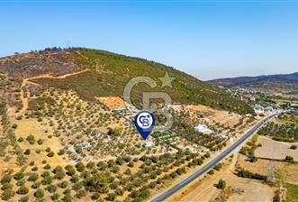 Foça Ilıpınar'da Anayol Üzeri Satılık Tarla