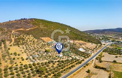 Foça Ilıpınar'da Anayol Üzeri Satılık Tarla