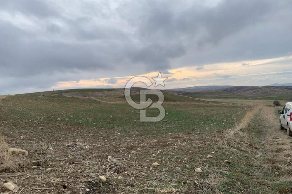 ACİL Gölbaşı Boyalık Akpınar’da Tek Tapu 7.309 m2 Tarla